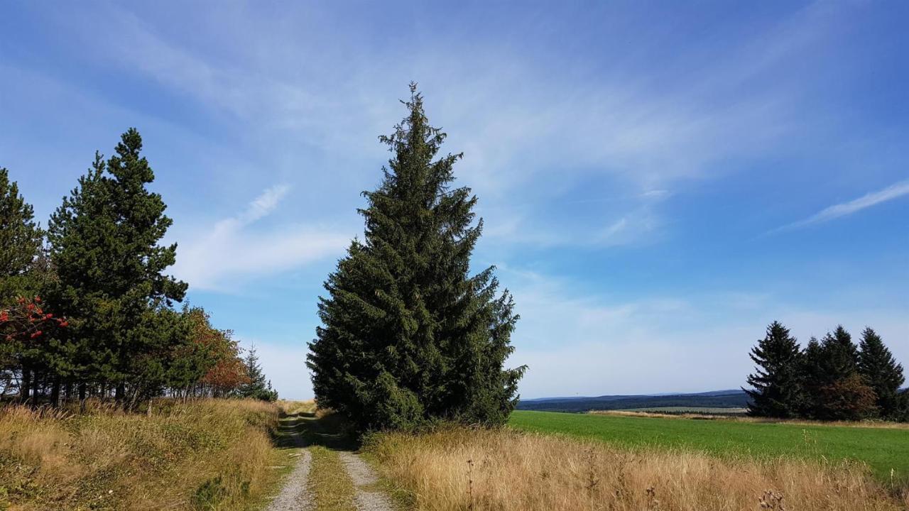 Pension & Gasthof Erbgericht Hoehenlage 850M Marienberg Bagian luar foto